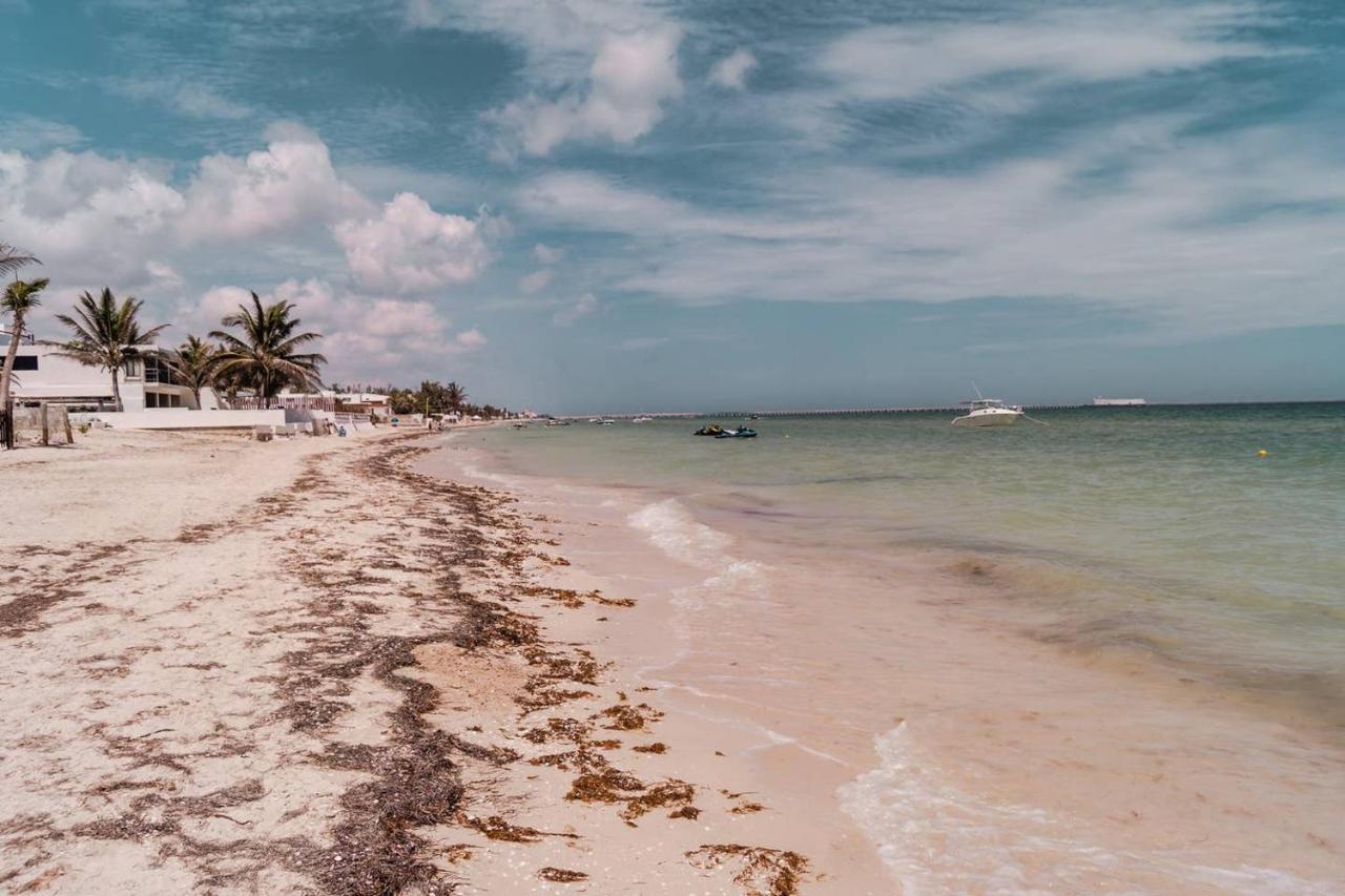 Luxury Condo, The Hidden Gem Playa Chaca. Live It! Progreso  Extérieur photo