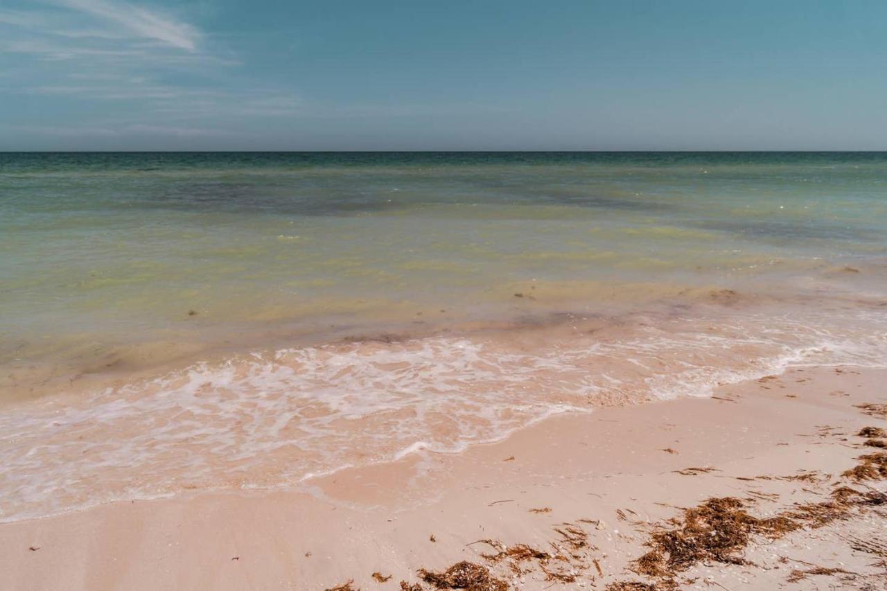Luxury Condo, The Hidden Gem Playa Chaca. Live It! Progreso  Extérieur photo